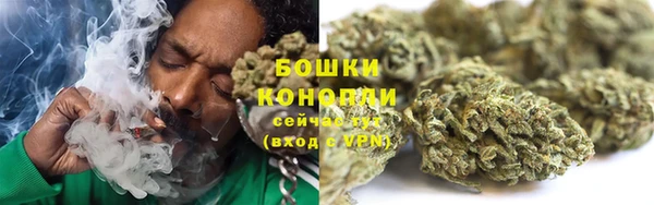 спиды Лиски