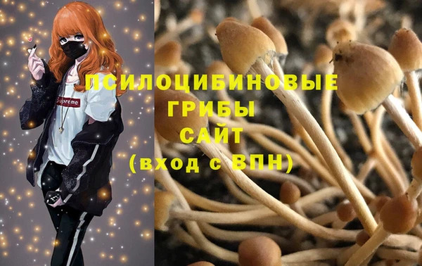 тгк Лихославль